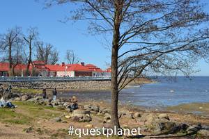 Финский залив