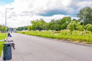 Аллеи парка